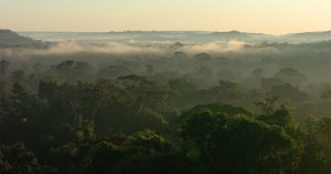 Investimento na Amazônia Legal seria capaz de reduzir disparidades no mercado de trabalho