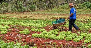 “O Brasil tem todas as condições para ser vanguarda na agroecologia”