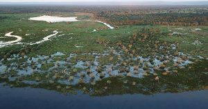 Pantanal passa por momento crítico com queimadas naturais