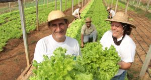 Além da importância econômica, agricultura familiar é parte da construção cultural do Brasil