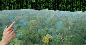 Cientistas propõem caminhos para tornar mais justo uso de dados sobre florestas tropicais