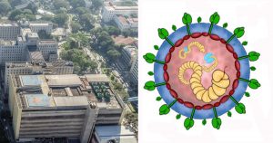 Vírus de alta letalidade ressurgido no Brasil após 20 anos é investigado pela USP​