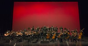 Orquestra de Câmara da USP retrata a Amazônia em espetáculo imersivo