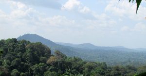 Estudo calcula danos causados pela liberação da mineração em floresta protegida na Amazônia