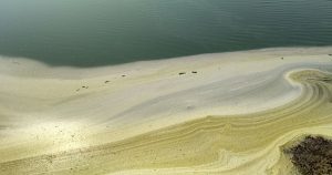 Cientistas caracterizam o que há de vida nas “lagoas de soda” do Pantanal