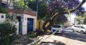 Em São Paulo, risco de queda de árvores é influenciado por altura de prédios no entorno e idade do bairro, diz pesquisa