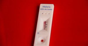 Vacina contra malária desenvolvida pela USP deverá entrar na primeira fase de testes clínicos em 2023