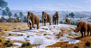 Reconstrução de hábitos alimentares de mamíferos terrestres na Era do Gelo revela crise na biodiversidade