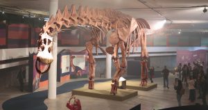 Exposição com maior dinossauro do mundo une ciência e diversão
