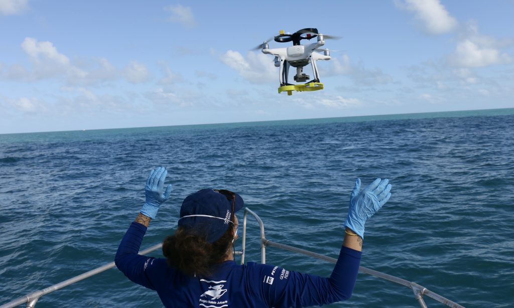 A voluntária Clara Kalid, do Instituto Baleia Jubarte, lança o drone que vai coletar amostras de borrifo de baleia em Abrolhos – Foto: Herton Escobar / USP Imagens