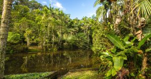 Área de Proteção Ambiental Bororé-Colônia é avaliada em projeto de serviços ecossistêmicos