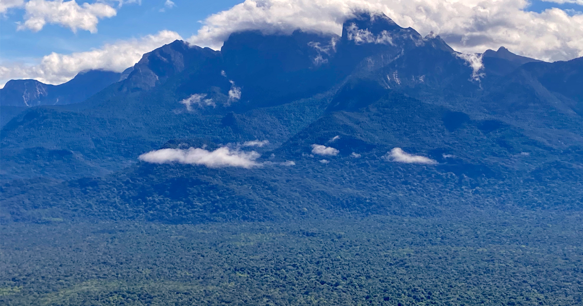 Serra do Imeri, no norte do Amazonas, onde ocorrerá a expedição - Foto: Miguel Trefaut Rodrigues / IBUSP