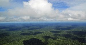 Pesquisadores pretendem reconstituir a formação da Amazônia pela análise de sedimentos e rochas
