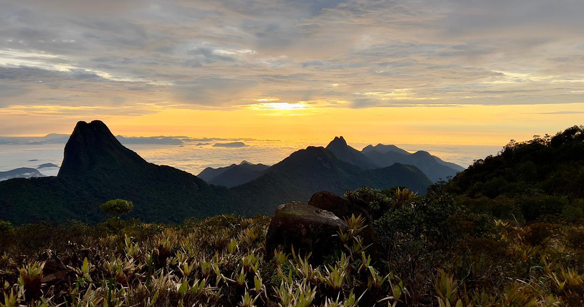Porção sul da Serra do Imeri, com a floresta ao fundo abaixo de um cobertor de nuvens na manhã do dia 18 - Foto: Herton Escobar