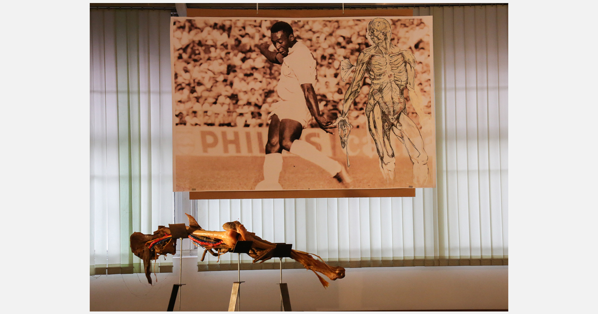 Pelé e, ao lado, a imagem do corpo humano feita por Andreas Vesalius - Foto: Cecília Bastos/USP Imagens
