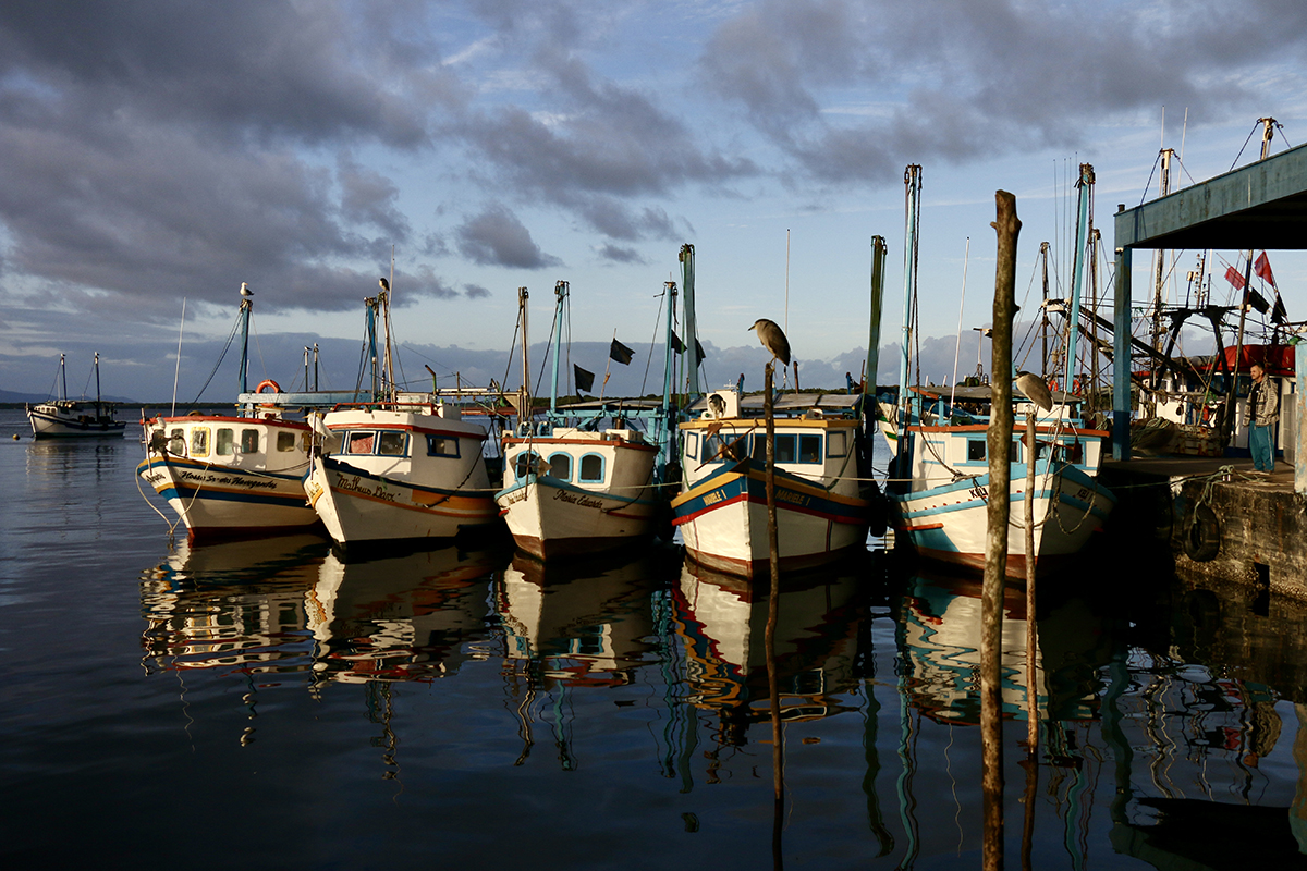Barcos de pesca em Cananeia - Foto: Herton Escobar
