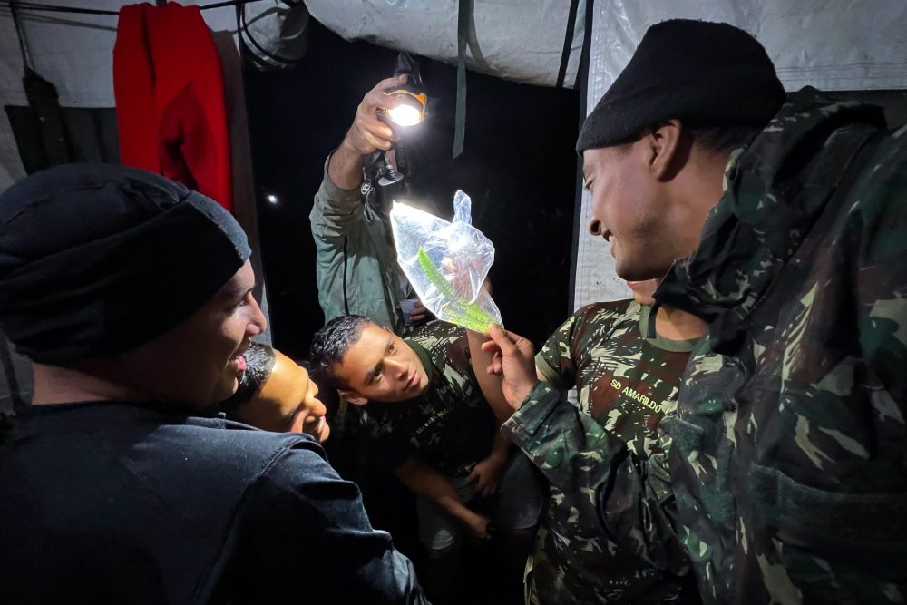 Soldados do Exército Brasileiro observam fascinados um sapinho, dentro de um saco plástico, que foi coletado durante a noite - Foto: Herton Escobar/USP Imagens