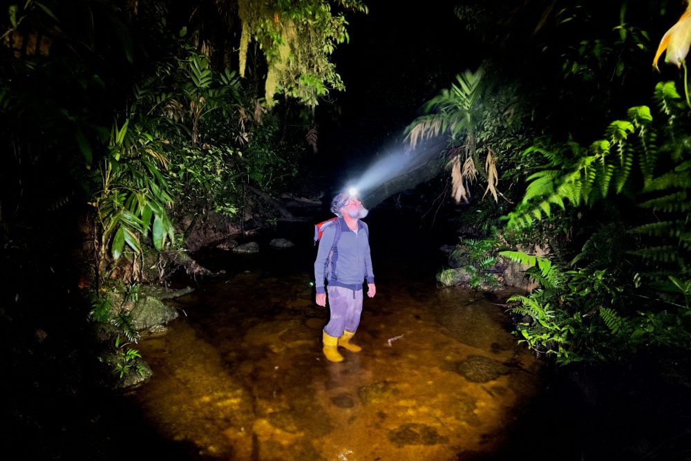 O biólogo José Mario Ghellere trabalha na coleta noturna de répteis e anfíbios dentro de um riacho da Serra do Imeri - Foto: Herton Escobar/USP Imagens