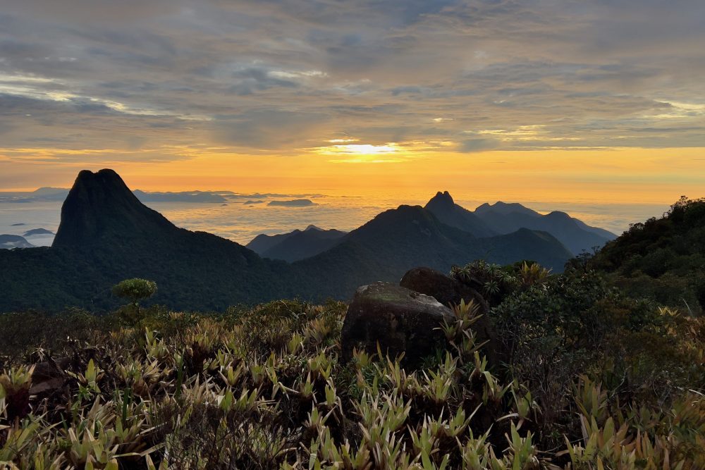 Vista leste do acampamento, com mais picos rochosos e a “baixa Amazônia” coberta por um cobertor de nuvens ao fundo - Foto: Herton Escobar/USP Imagens
