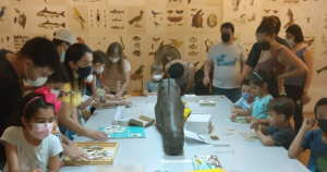Nessas férias, brinque e aprenda com a família no Museu de Zoologia da USP