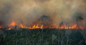 Tragédia anunciada: destruição da Amazônia será “catastrófica” para o planeta, alertam cientistas