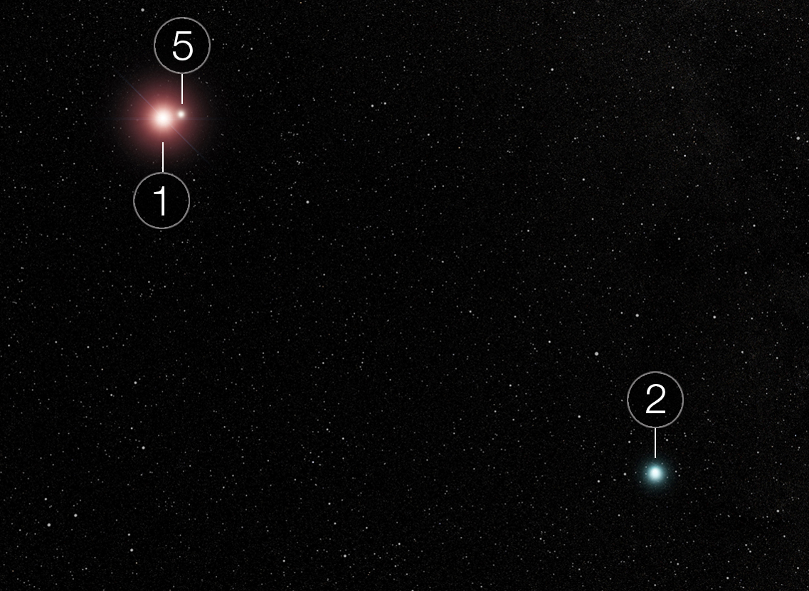 Simulação de campo mais amplo com as estrelas 1, 2 e 5. A estrela 5 orbita a estrela 1 muito mais firmemente do que a estrela 2 - Imagem: NASA, ESA, CSA e E. Wheatley (STScI)