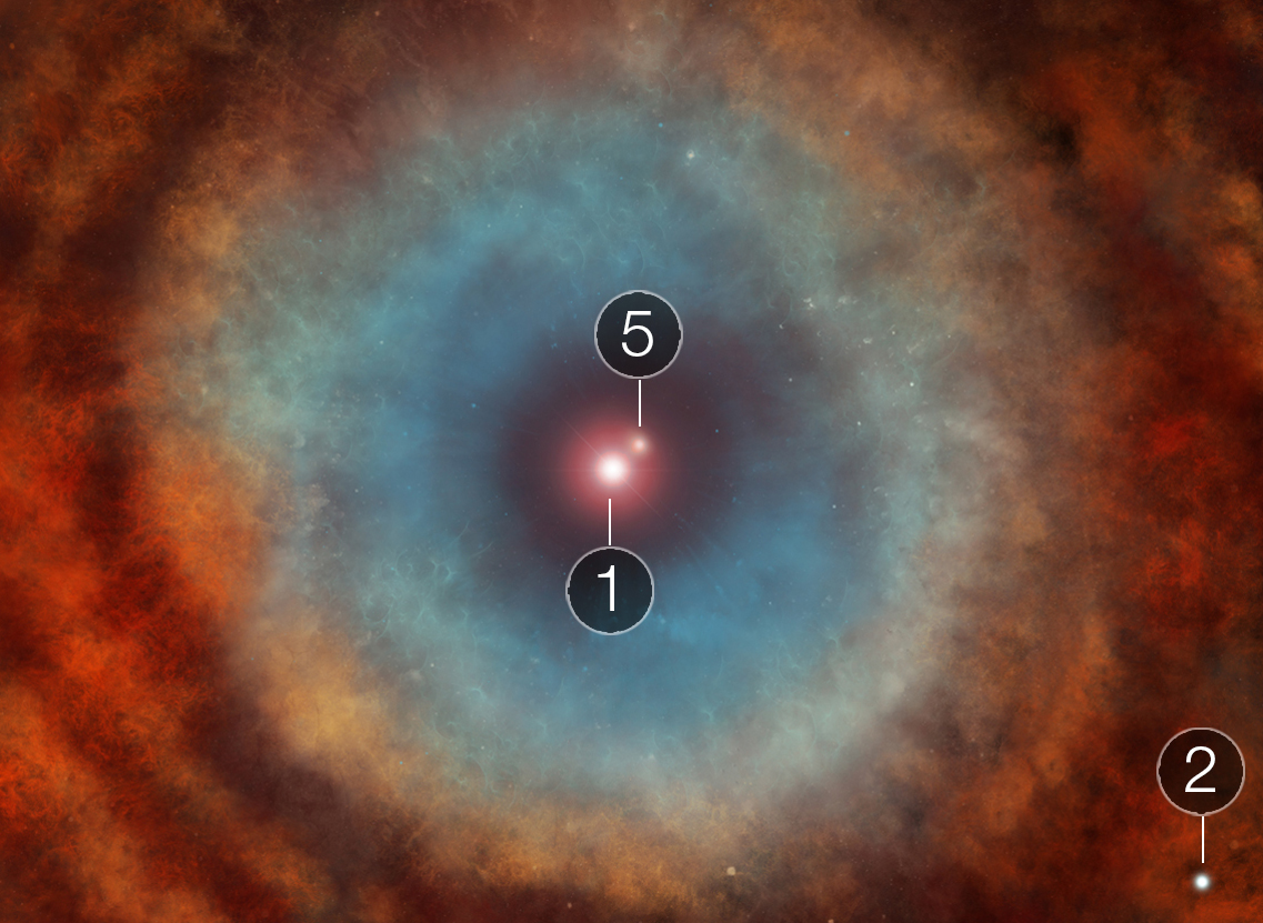 A estrela 5 está interage com o gás e a poeira ejetados, gerando o sistema de grandes anéis vistos na nebulosa externa - Imagem: NASA, ESA, CSA e E. Wheatley (STScI)