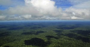 Modelo de inteligência artificial avalia como fatores ambientais impactam quantidade de carbono capturado na Amazônia