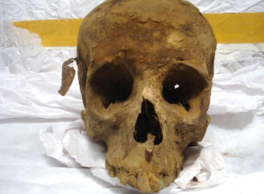 Crânio original de D. Pedro I, exumado para pesquisa arqueológica em 2012. Foto: Valter Diogo Muniz