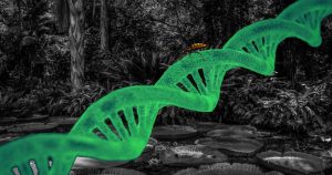 Doença de Chagas moldou o genoma de povos originários da Amazônia