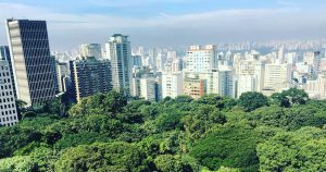 Projeto da USP mapeia áreas verdes informais da Região Metropolitana de São Paulo