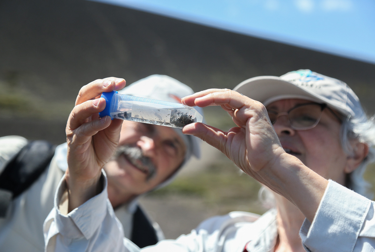 Os pesquisadores José Albertino Rafael e Vera Cristina Silva observam insetos coletados na expedição - Foto: Cecília Bastos/USP Imagens