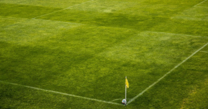 Sociedades Anônimas do Futebol podem ajudar no crescimento de clubes menores