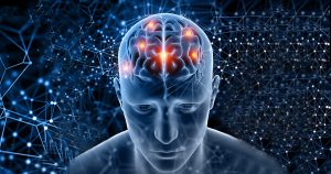Estudo internacional revela como neurônios artificiais simulam habilidades cerebrais complexas