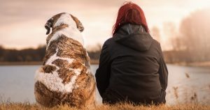 Cresce o número de famílias que preferem ter pets em vez de filhos