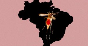 Variações de temperatura afetam eficiência de inseticida no controle de larvas de Aedes aegypti