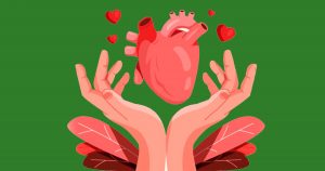 Por dentro do coração: pesquisa busca entender recusa familiar na doação de órgãos