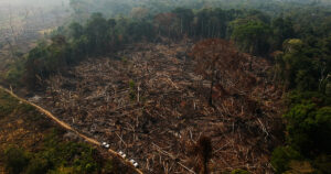 Amazônia Internacional não foi poupada da devastação causada pelos incêndios