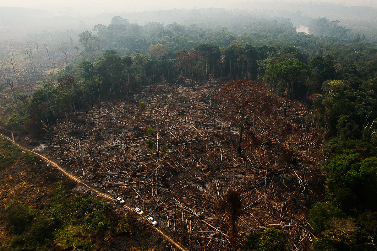 Visão aérea de uma região na Amazônia castigada pelas queimadas, que abrem como que um grande vácuo em meio à exuberância da floresta