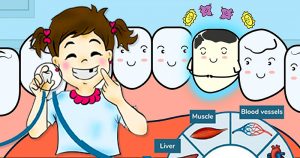 Artigo científico para crianças explica o processo de regeneração dos dentes 