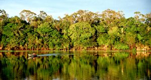 França perde momento de declarar interesse no Tratado de Cooperação Amazônica