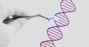 Descoberta sobre replicação e reparo de DNA pode ajudar pesquisas sobre câncer​