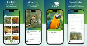 Aulas sobre biodiversidade brasileira ficam mais dinâmicas com o aplicativo ClickBiota