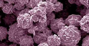 Anvisa aprova estudo clínico de tratamento para leucemia e linfoma usando células CAR-T