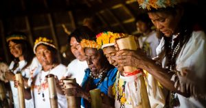 Rede Indígena organiza curso gratuito de língua e cultura Guarani Mbya