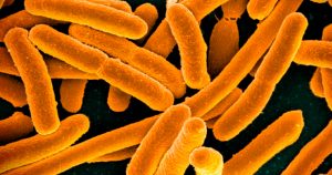 Bactérias resistentes também são ameaça fora dos hospitais