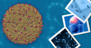 Vírus da zika modificado em laboratório destrói células de tumores do sistema nervoso