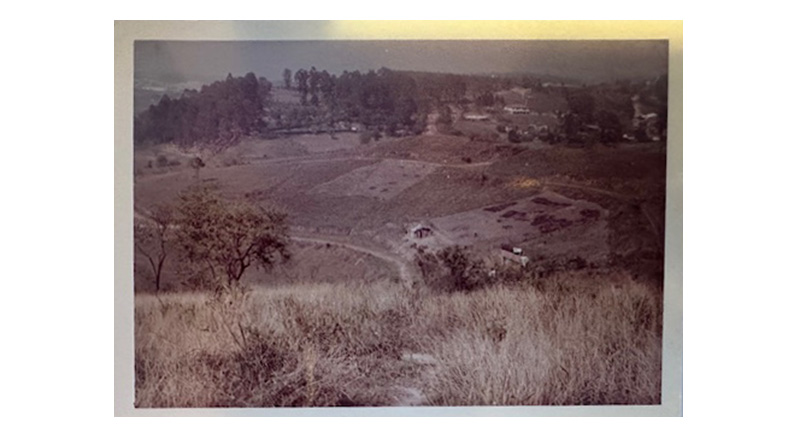 Vista geral da área do Sítio Morumbi no início da década de 1960, quando foi implantado o loteamento Jardim Panorama - Foto: Acervo pessoal / Paulo Zanettini