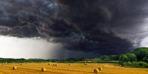 Mudanças climáticas afetam a agricultura e prejudicam a produção de alimentos