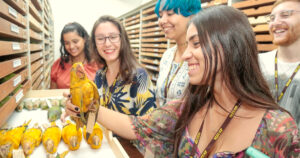 Programa da USP prepara estudantes de todo o Brasil para atuação em museus de ciências